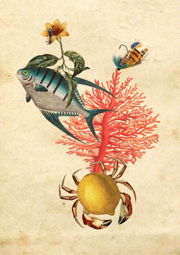 Territorio Incierto — collage La Deriva