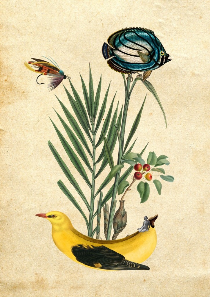 Fragmento del Camino — collage La Deriva