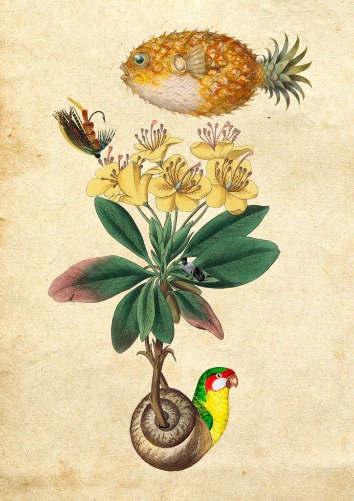 Desplazamiento Lento — collage La Deriva