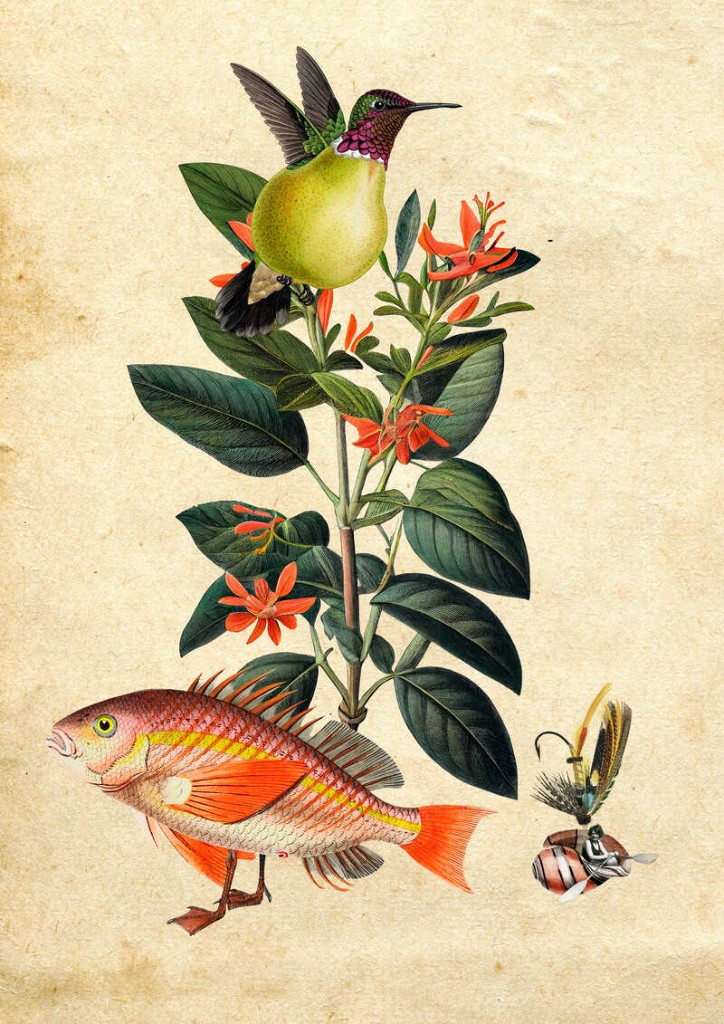 Marea Quieta — collage La Deriva